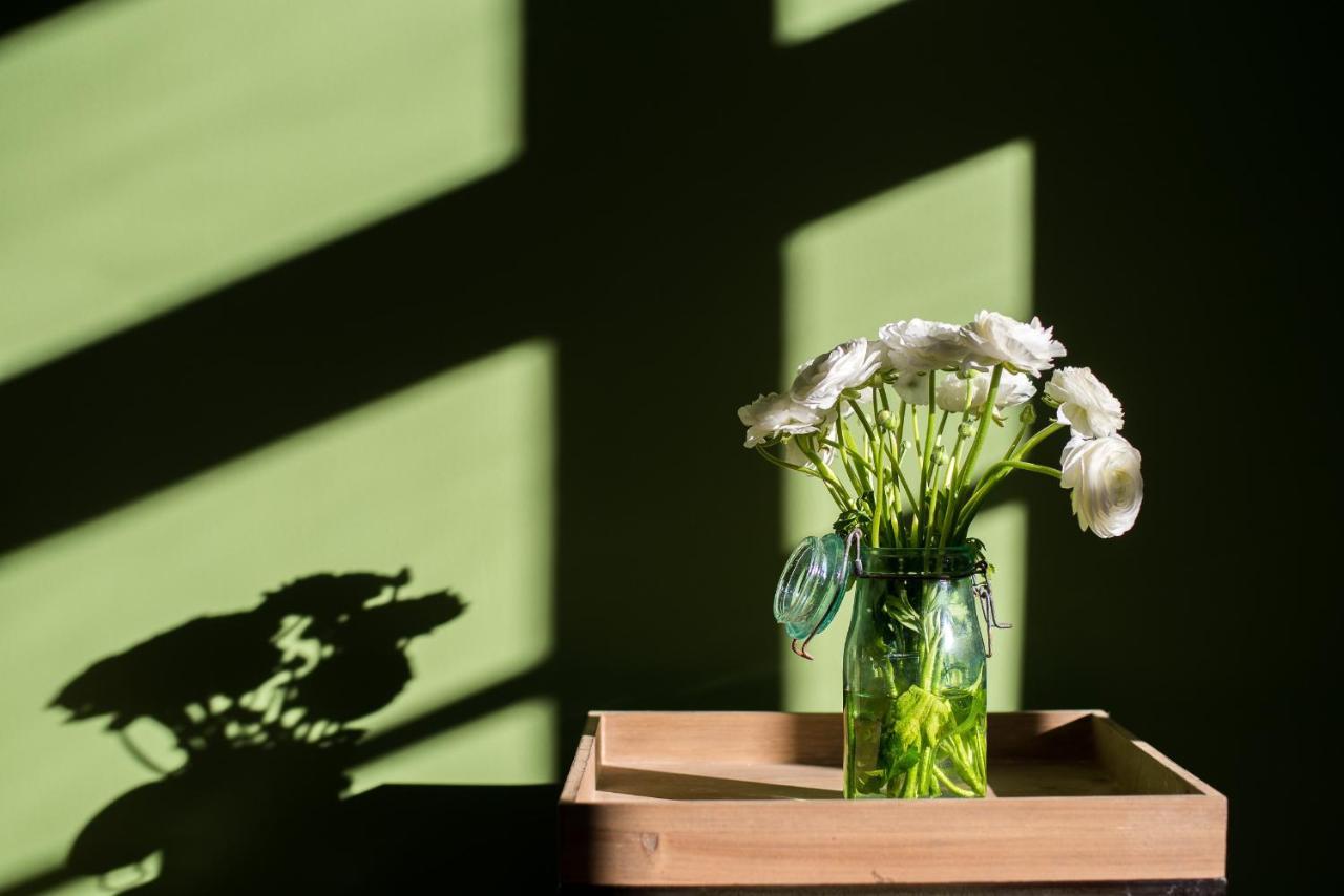 Sur Le Quai Bed & Breakfast Carcassonne Eksteriør bilde